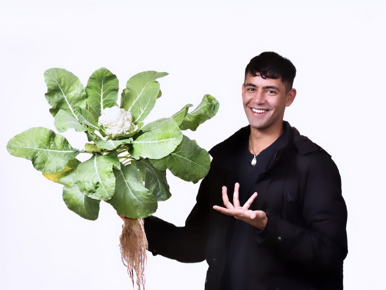 First Cauliflower Aeroponic